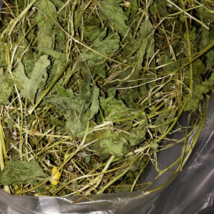 ใบแตงขมอบแห้งแบบเวียดนาม100% ใบแตงโมอบแห้งธรรมชาติขนาด4ออนซ์ - Product Image 2