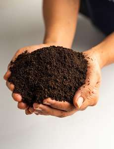 Vermicompost engrais biologique sûr pour l'environnement facile à utiliser pour améliorer les propriétés dégradées du sol - Product Image 5