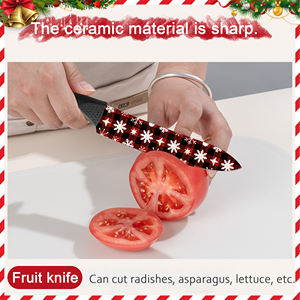 Couteau à viande en céramique de qualité supérieure, durable, en stock, vente en gros, avec manche en plastique, pour la randonnée en plein air - Product Image 4