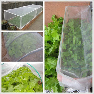 Filet de protection anti-insectes portable robuste 2,5x6m pour Brassica, 60 mailles, pliable, en PVC/HDPE/PE durable - Product Image 4