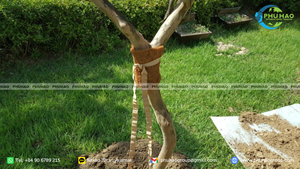 Bande de fibres organiques en coco pour l'aménagement paysager écologique et la fourniture d'un soutien naturel du sol dans les applications de conception durable - Product Image 6