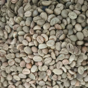 จำหน่ายเมล็ดกาแฟอาราบิก้าสด แบบล้างและแบบคั่ว จำนวนมาก จากประเทศเคนยา บริการ OEM ODM ขายส่ง เกรด A/B/C - Product Image 2