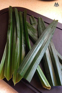 HOJAS DE PANDAN CONGELADAS PREMIUM AL POR MAYOR OFERTA CALIENTE TOP VENTAS HIERBA AROMÁTICA NATURAL EXPORTACIÓN PRODUCTO DE CALIDAD - Product Image 6