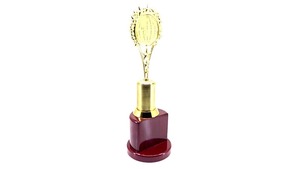 Fournisseur indien Golden Star avec Trophée Globe rotatif pour célébrer les réalisations mondiales disponibles au prix d'exportation - Product Image 3