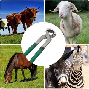 Pinces à sabots et coupe-ongles professionnels pour chevaux, outils de maréchal-ferrant durables pour le sabotage, la coupe et les soins vétérinaires - Product Image 2