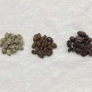 Manufacturer Crafted 100% Natural Arabica Specialty <b>Coffee</b> <b>Beans</b> from Vietnam Bulk for Roasters - Product Image 1