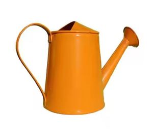 Regadera de hierro a un precio razonable Diseño fantástico Regadera Tamaño y forma personalizados Recubrimiento en Polvo puro - Product Image 1