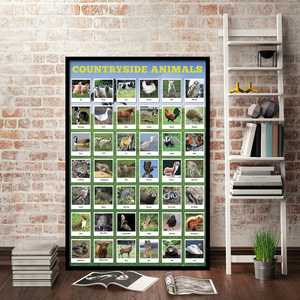 Póster de especies animales nativas para decoración de pared - Product Image 5