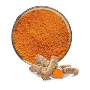 Extrait de curcumine en poudre 100 % ultra pur OEM/ODM, extrait végétal 95 %, extrait de racine de Curcuma longa biologique et naturel en poudre, provenant d'Inde - Product Image 1