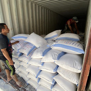 Carbonato de Calcio en Polvo, Tamaño de 45 Micras, para Pintura Arquitectónica, Modelo de Piedra Caliza TAS - Product Image 1