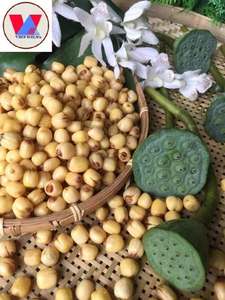 SEMILLAS DE LOTO PELADAS DE PRIMERA CALIDAD PRODUCTO NATURAL A BASE DE PLANTAS PARA EL APOYO DEL SISTEMA INMUNE Y NUTRICIÓN DE ETIQUETA LIMPIA - Product Image 6