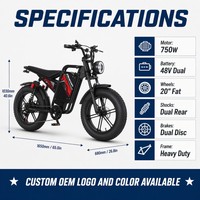 Vélo cargo électrique 48V 750W, cadre en acier, batterie lithium, double batterie, pneus larges de 20 pouces, 7 vitesses, pour la famille, la livraison et les trajets quotidiens