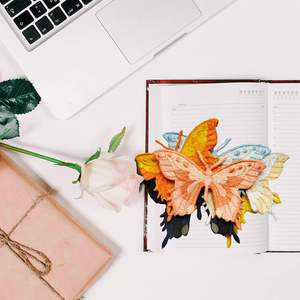 Papillon Patch Iron on,10 pièces patchs brodés couleurs mélangées appliques patchs croisés pour vêtements vestes sacs à dos jeans - Product Image 2