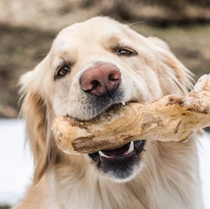 Offre Spéciale Bois de café naturel de haute qualité/Jouets pour animaux de compagnie - Product Image 1