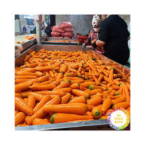 Zanahorias frescas 10Kg Zanahorias Embalaje Cajas de cartón Peso afilado Peso grande Zanahorias frescas Suministros de 99 Datos de oro - Product Image 2