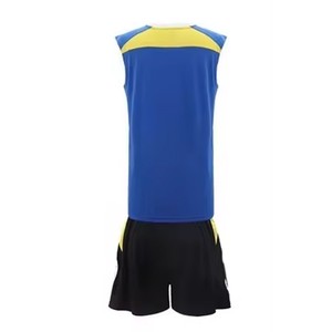 Uniformes de voleibol con estampado de sublimación profesional personalizables, conjunto de Jersey de poliéster 100% transpirable de secado rápido para hombres y mujeres - Product Image 6