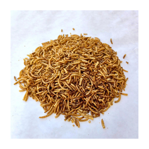PET <span class=keywords><strong>FOOD</strong></span> Secas Black Soldier Fly Larvas Secas Mealworm <span class=keywords><strong>High</strong></span>-<span class=keywords><strong>Protein</strong></span> Chicken, Reptile, and <span class=keywords><strong>Bird</strong></span> Treats - Product Image 1