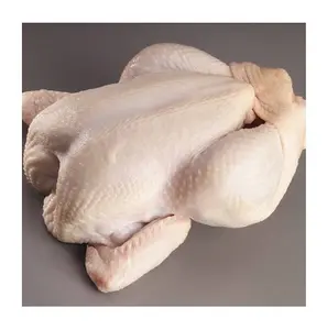 Poulet entier congelé Halal 100% qualité garantie 800g/900g/1000g/1100g/1300g/2000g