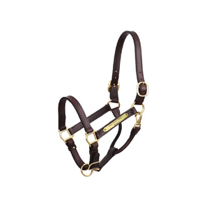 Fournisseur d'équipement d'équitation 1 "Xl Stallion Premium Leather Show Halter avec plaque signalétique pliable non pérenne - Product Image 1
