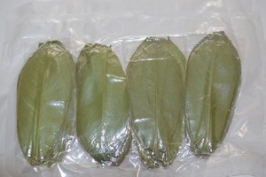 Hojas de Guanábana Secas Premium, Graviola a Granel, Venta al por Mayor, Fábrica de Vietnam - Product Image 2