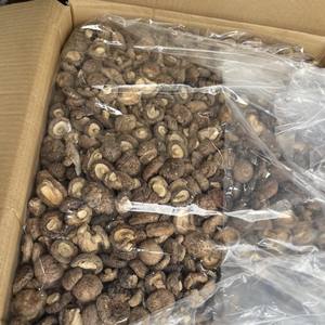 Tallos de hongos Shiitake secos para sopa para té o hacer hilo dental de hongos veganos - Product Image 2