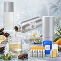 Huile parfumée inspirée des designers pour diffuseur d'air froid, huile aromatique pour diffuseur domestique, huile parfumée pour diffuseur HVAC, fournisseur d'huiles parfumées 500ml