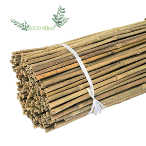 Piquets en bambou écologiques de vente chaude Piquets en bambou de haute qualité du Vietnam - Product Image 6