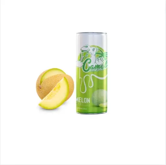 Jus organik 330ml jus buah Melon musim dingin kaleng alami Harga kompetitif pabrik langsung dari pabrik A & B