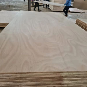 Paneles de chapa de madera de Okoume de primera calidad para fabricación de armarios, madera contrachapada y puertas - Product Image 2