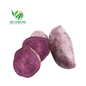 มันเทศม่วงเวียดนามแช่แข็ง LQF ราคาดีที่สุดปี 2024 ผักแปรรูปสดใหม่ หั่นเต๋า หั่นบาง บรรจุสุญญากาศ - Product Image 5