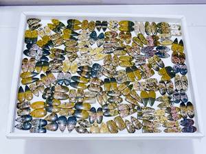 Paire de jaspe océanique naturel de haute qualité Cabochon en vrac mélange de pierres précieuses forme et taille Lot de pierres précieuses en vrac fabrication de bijoux - Product Image 3