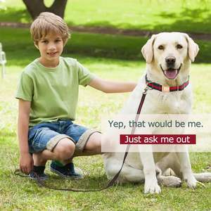 Colliers de chien en nylon vert léger résistant aux intempéries ajustement réglable matériel durable couleur vive parfait pour les chiens actifs - Product Image 6