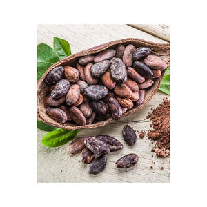 Cocoa <b>Beans</b> Ariba <b>Cacao</b> <b>Beans</b> Dried Raw <b>Cacao</b> Fermented Cocoa <b>Beans</b> - Product Image 4