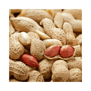 <strong>Peanuts</strong> bold size, material: dried in-shell nuts; use: bar snack and street roasting carts; origin: Vietnam, <strong>export</strong> - Product Image 6