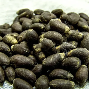 Natural Cotton Seeds High Yield Farming Animal <b>Feed</b> Bulk <b>Supply</b> Non-GMO Top-quality Custom Packing Export Ready Verified UK - Product Image 2