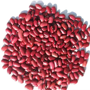 Frijoles Rojos Secos Orgánicos - Product Image 1
