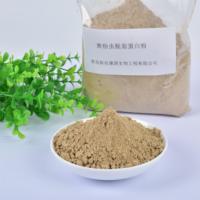 Poudre de protéines de vers de farine dégraissés, additifs protéiques fonctionnels