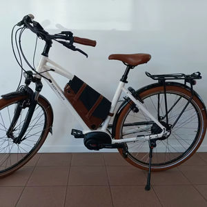 Bicicleta Eléctrica Urbana Cruiser2 Mixte Vario 2025-2026, Nueva, de Alta Gama, Todos los Tamaños y Colores de Cuadro Disponibles, Lista para Exportar a Todo el Mundo - Product Image 1