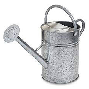 Regadera moderna de metal galvanizado con acabado en estilo tradicional para uso en interiores/exteriores - Product Image 1