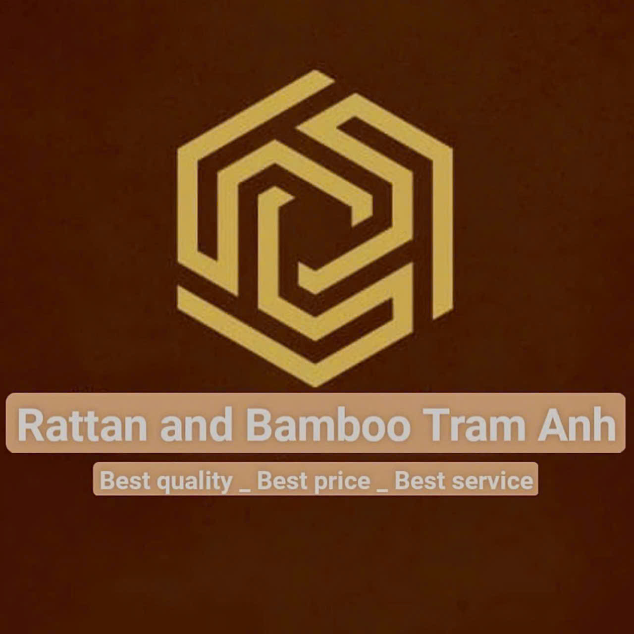 BAO TRAM ANH COMPANY LIMITED logo