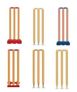 Celipex Private Limited Haute qualité Meilleure vente Souches de cricket en plastique blanchi et poli Lot de 3 Souches - Product Image 2