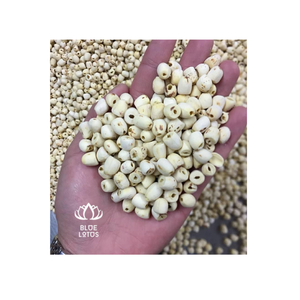 Graines de lotus séchées de qualité supérieure, pelées et prêtes à être expédiées - Product Image 1