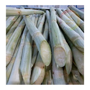 Tallos de caña de azúcar congelados al por mayor-Granja-Frescos, convenientemente empaquetados para restaurantes, cafeterías y distribuidores - Product Image 4
