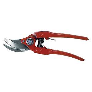 Forbici 'Pradines P110' 23 cm - Product Image 1