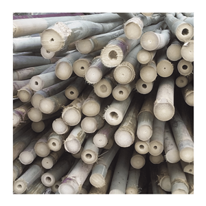 Tubes de bambou Moso du Vietnam de haute qualité, écologiques, en gros pour 2025 - Product Image 2