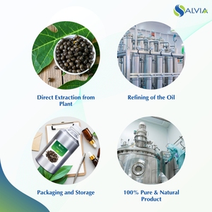 Huile Essentielle Pure de Graine de Papaye Salvia 100% Pure et Naturelle Soins de la Peau Beauté Vente en Gros Prix Bas Emballage Personnalisé - Product Image 4