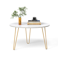 Nouvelle Arrivée Mayrite Table Basse Ronde en Bois Composite avec Pieds en Cheveux de Cheval (Blanc)