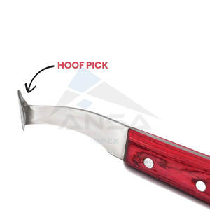 Cuchillo de pezuña de acero japonés de primera calidad, herrador para diestros, Topper de latón, hoja duradera, mango de caballo, vaca, cuidado de pezuña - Product Image 3