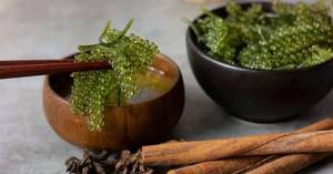 Caviar Verde Natural, Uvas de Mar, Algas Marinas para Distribuidores de Superalimentos - Product Image 6