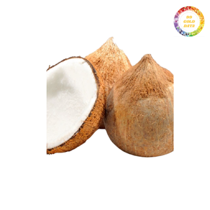 มะพร้าวสุกมีคุณภาพส่งออกที่มีปริมาณเนื้อสัตว์ขนาดใหญ่ในราคาต่ำสำหรับขายส่งและใช้แปรรูป - Product Image 2